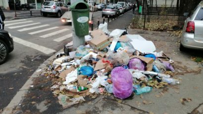 Prefectul Capitalei: Am cerut DSP, DSVSA şi Gărzii de Mediu o analiză