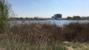 Incendiu în apropiere de Delta Văcărești