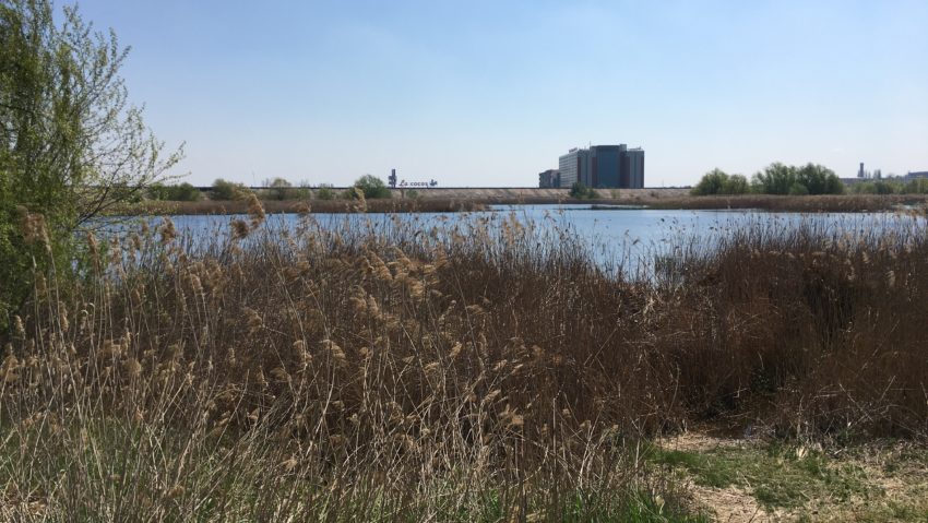 Incendiu în apropiere de Delta Văcărești