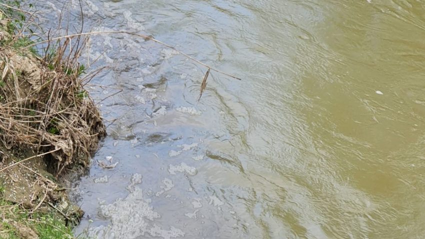 Dosar penal pentru poluarea râului Ciorogârla!