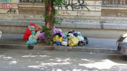 Gunoiul a pus stăpânire pe Sectorul 1