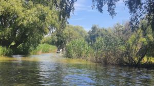 Regimul ariilor naturale protejate, modificat