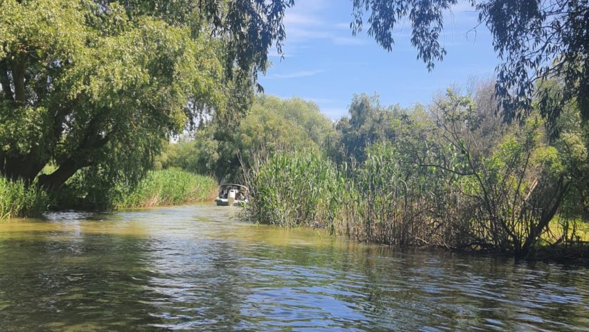 Regimul ariilor naturale protejate, modificat