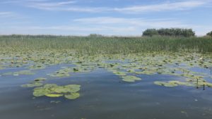 Este în plină desfăşurare Competiţia “Destinaţia anului”