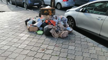 Sectorul 1, eforturi pentru o curățenie mai bună și mai eficientă! 