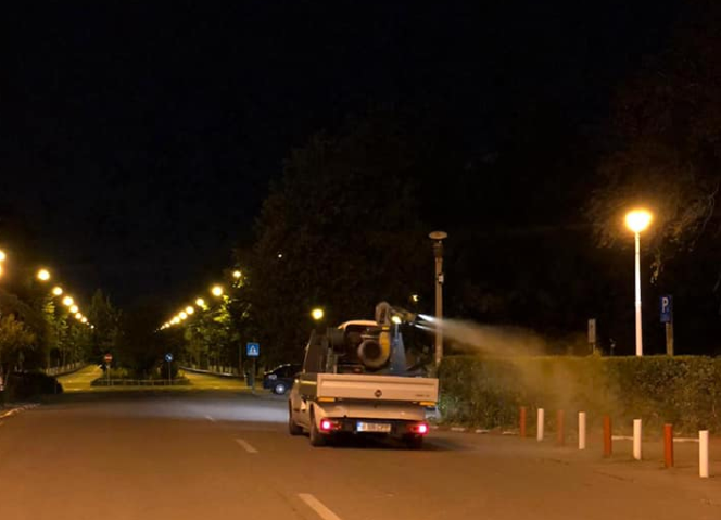 Tratamente fitosanitare în parcurile bucureştene, în perioada 10-23 august