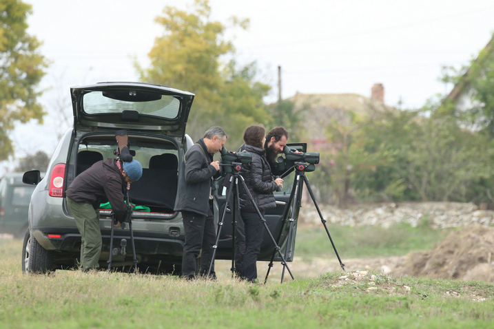 Maraton ornitologic la Agigea!