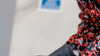 O nouă campanie de sterilizare gratuită a cățeilor de pe lângă București