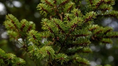 Christmas Maker Fair, târg de Crăciun, în centrul Bucureștiului