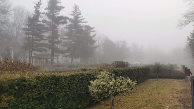 Duminicã, ceaţã, posibil asociatã cu burniţã