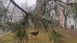 Luni, temperaturi mai ridicate decât cele specifice perioadei