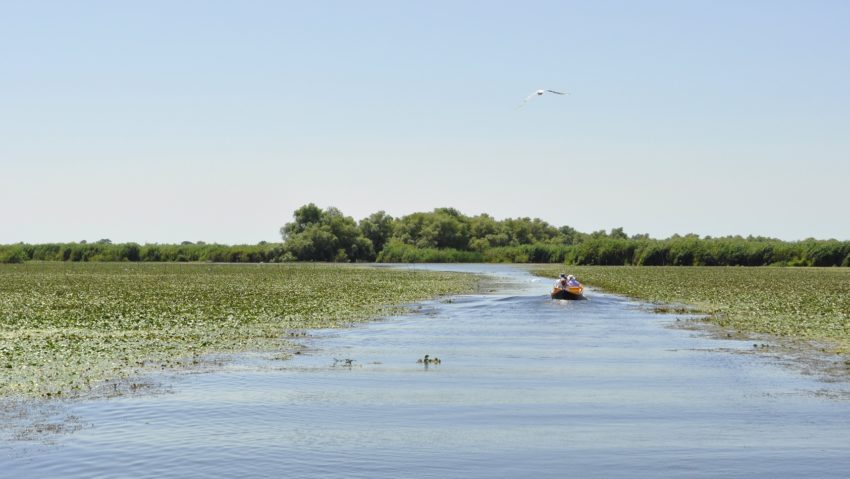 Punctele Gastronomice Locale îmbogățesc oferta de ecoturism în Delta Dunării