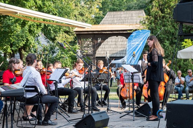 Daruieste naturii din energia ta!