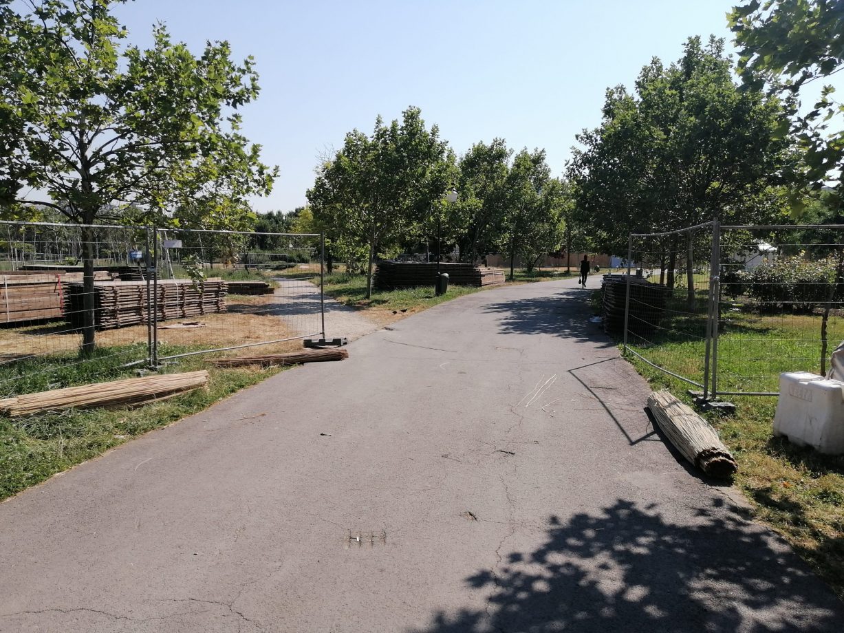 Cine trebuia să aibă grijă de copacii uscați?