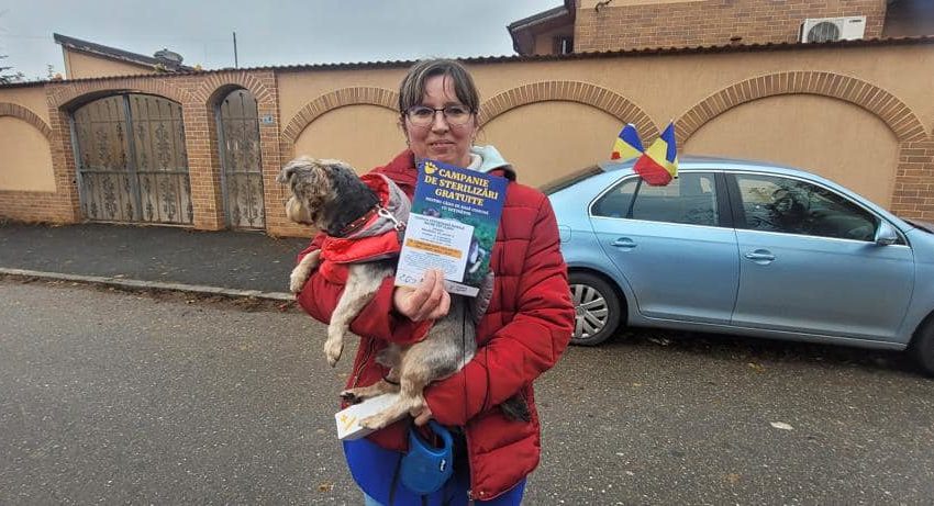 Sector 1: Microcipare şi vaccinare antirabică direct în teren!
