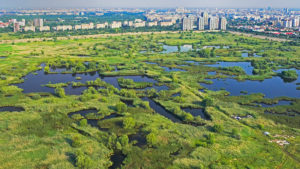 Săptămâna Verde în Parcul Natural Văcăreşti