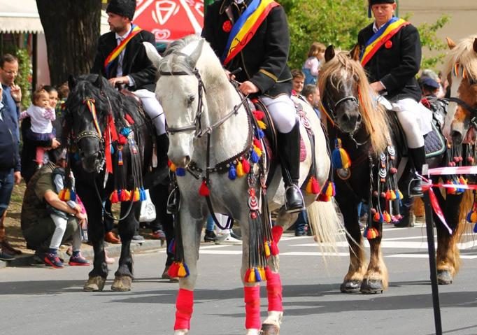 Tradiția creșterii cailor de rasă lipițană este în patrimoniul UNESCO