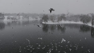Meteo: Vreme rece, lapoviţă şi ninsori în Bucureşti, în următoarele zile