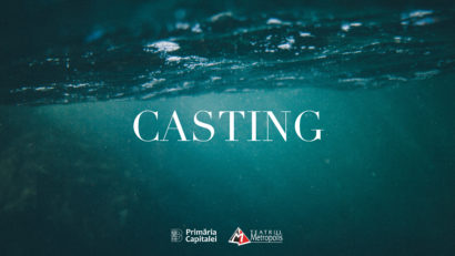 Teatrul Metropolis organizează casting pentru spectacolul “Balena”