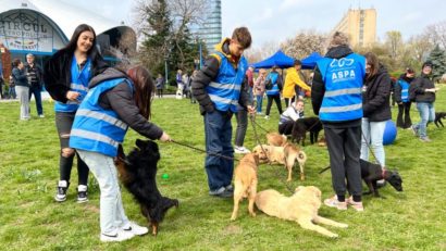 Şedinţă de dresaj gratuită pentru adoptatorii târgurilor ASPA, sâmbătă, în Parcul Tineretului