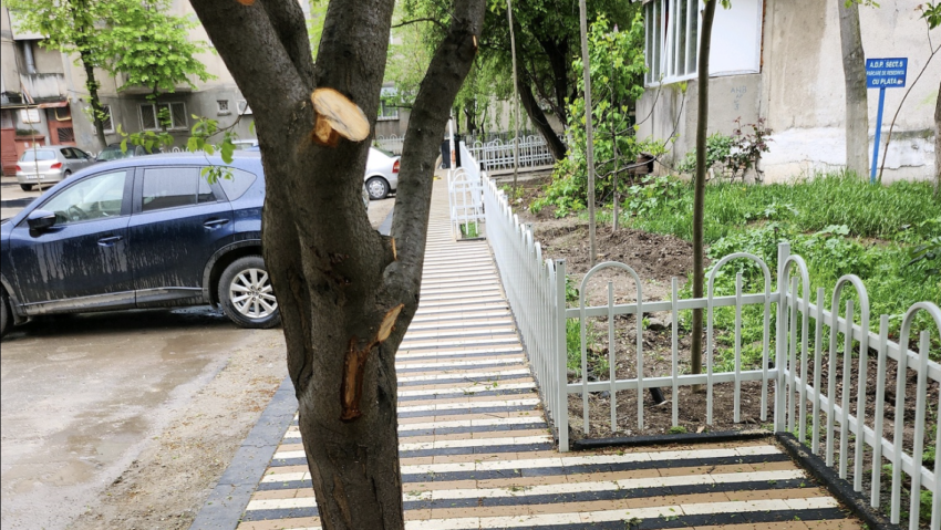 Rareș Hopincă, city-managerul Sectorului 5: “Lucrările din cartierul Rahova sunt legale”