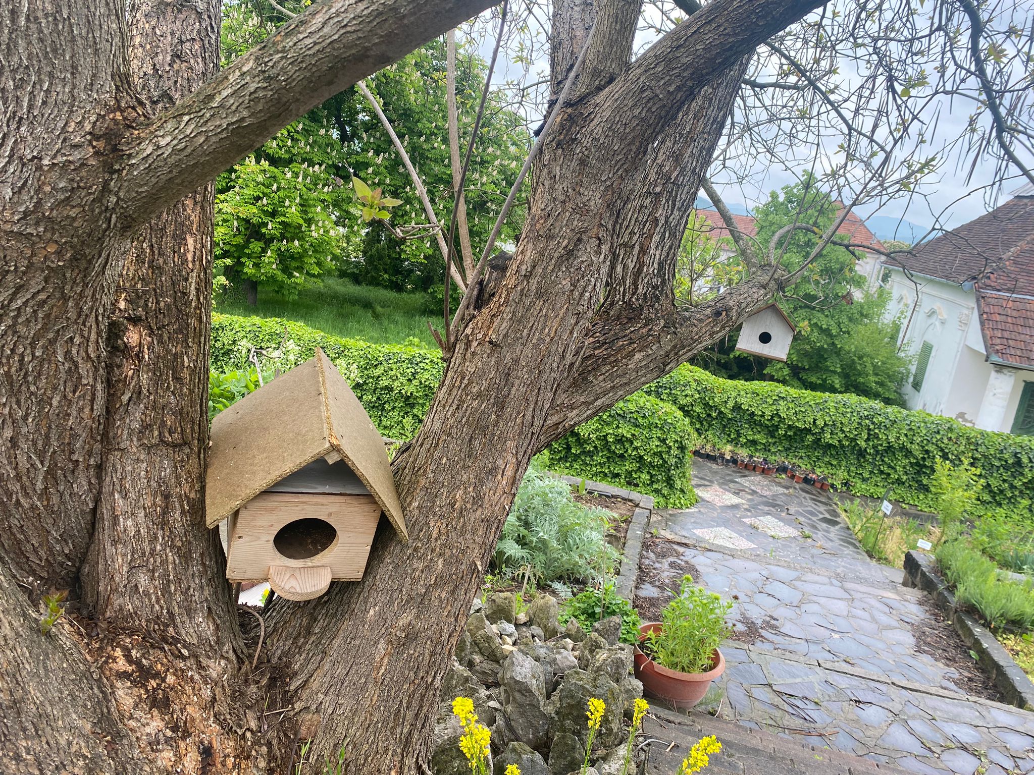 “Noaptea Privighetorilor”, la Bucureşti – Tururi ghidate, recital de muzică, ateliere educative şi expoziţie foto