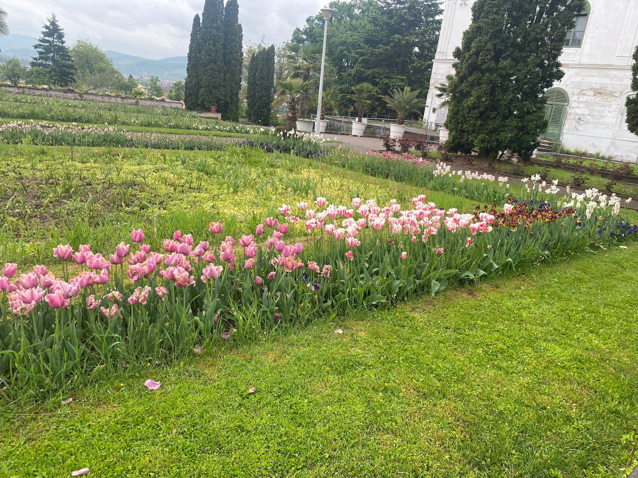 Opere de arta din flori