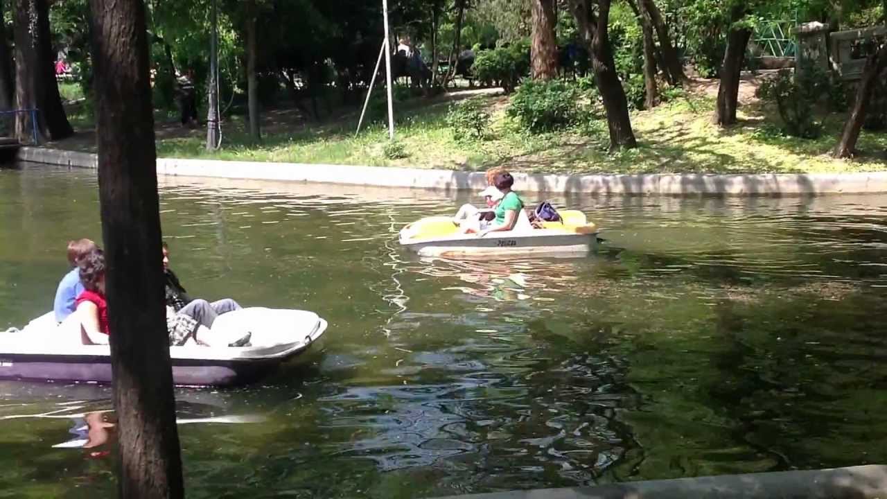 Liber la bărcuțe, in Parcul Cișmigiu