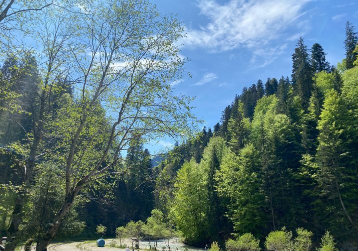 Omenirea a consumat toate resursele naturale regenerabile pentru anul acesta