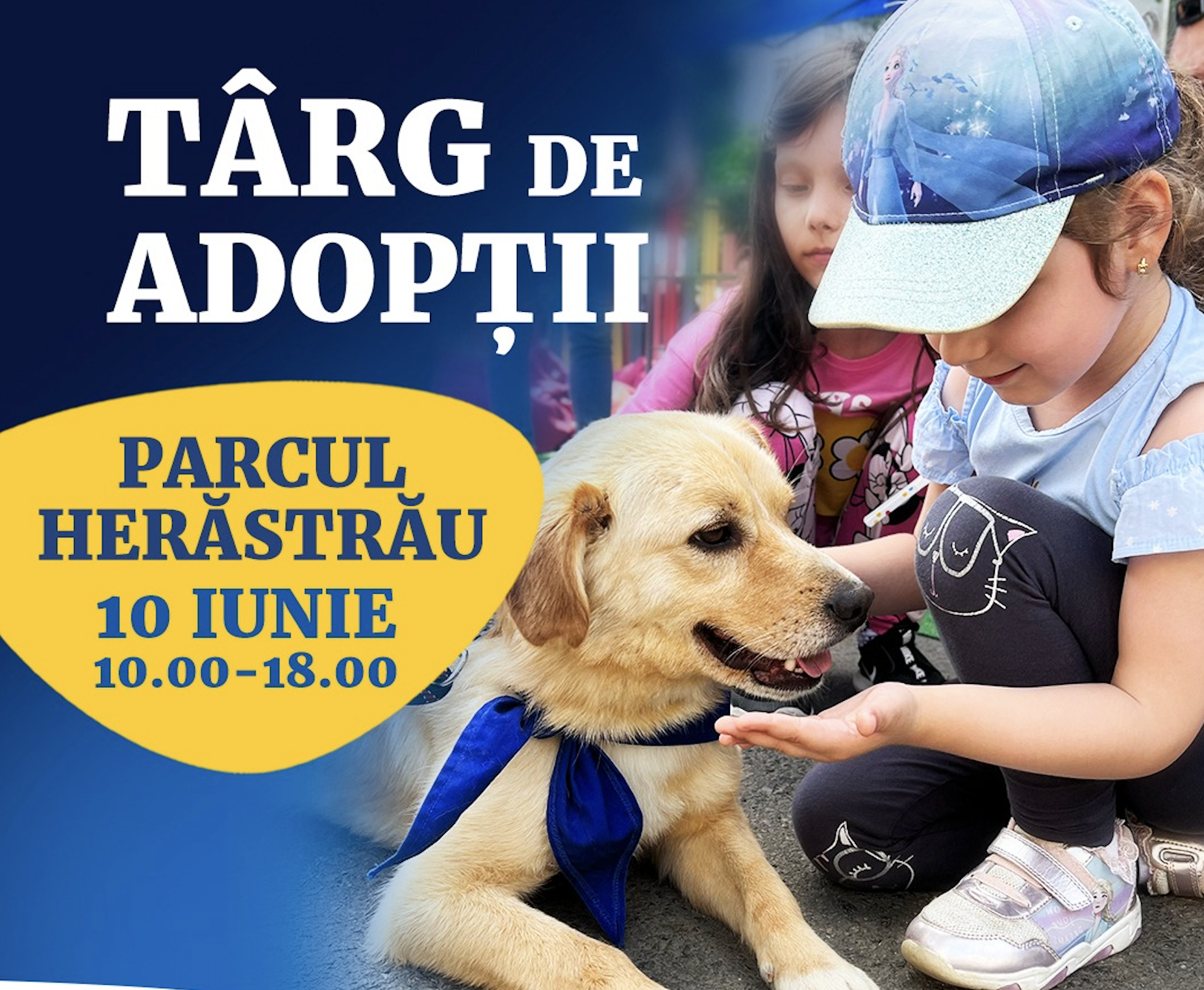 Târg de adopții pentru căței în Parcul Herăstrău