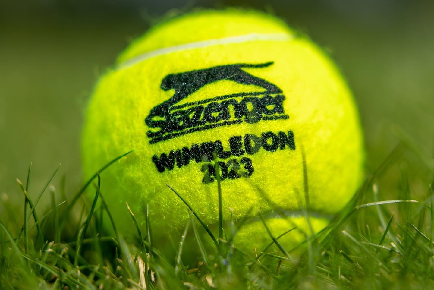 Wimbledon 2023: Elina Svitolina s-a calificat în semifinalele turneului!