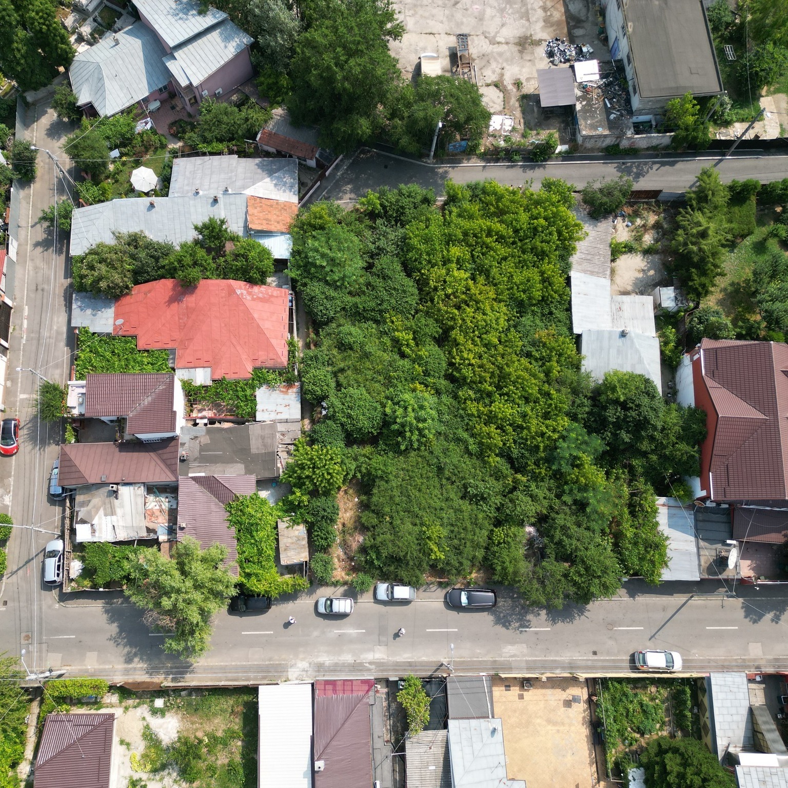 Mai mult spaţiu verde în Sectorul 2