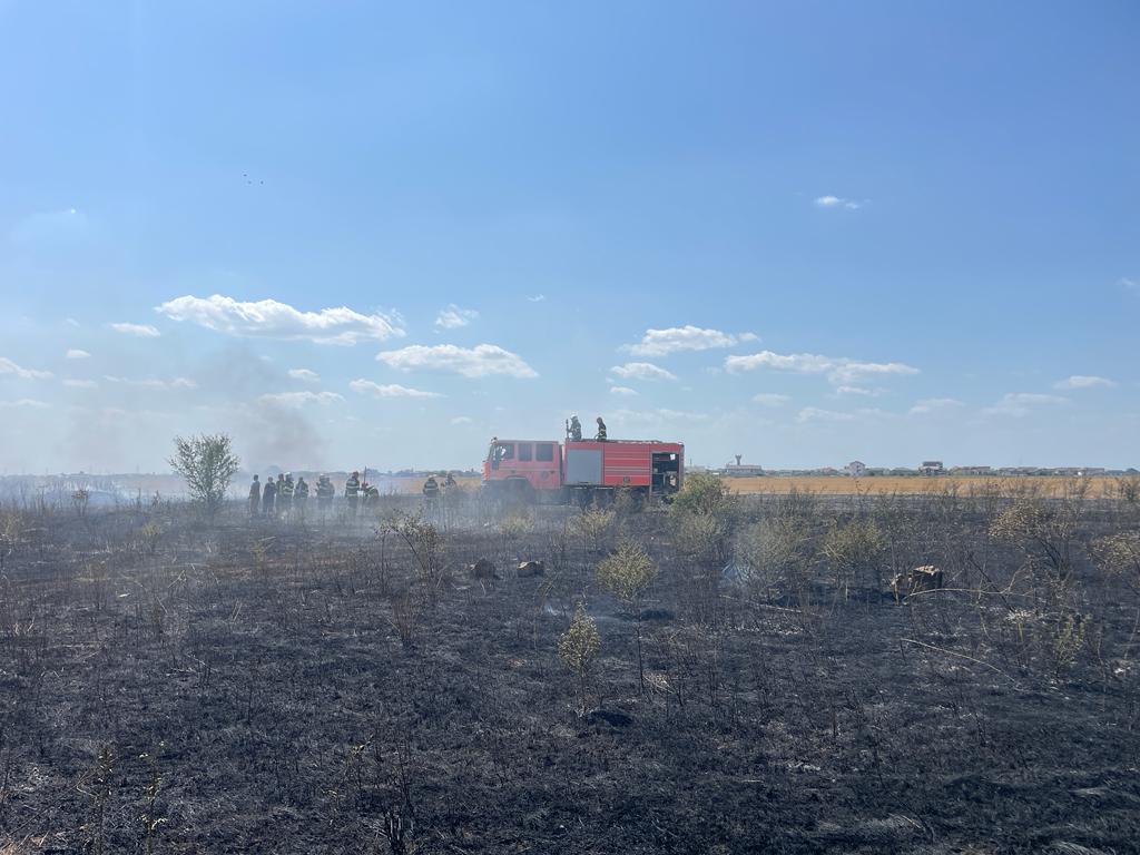 Incendiu de vegetație uscată produs pe N.D. Cocea, sectorul 5