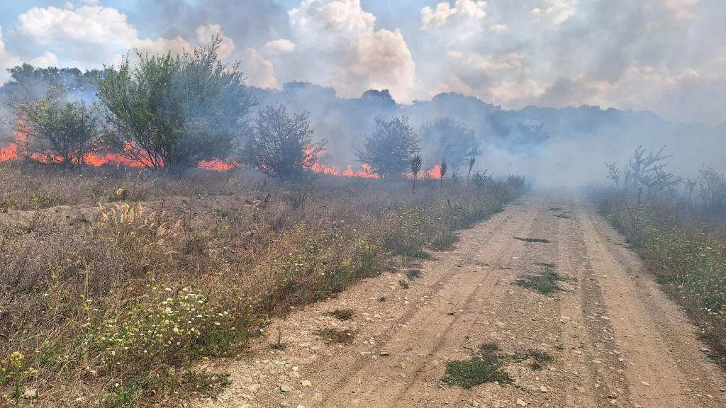 IGSU: Peste 8.500 de incendii de vegetație în această vară