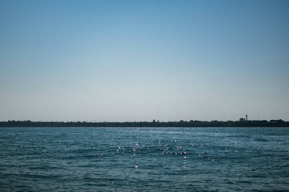 Conservele de ton sunt în mare parte contaminate cu mercur
