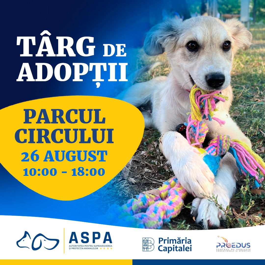 Un nou târg pentru adopţii de căței și pisici va avea loc în Parcul Circului din Capitală