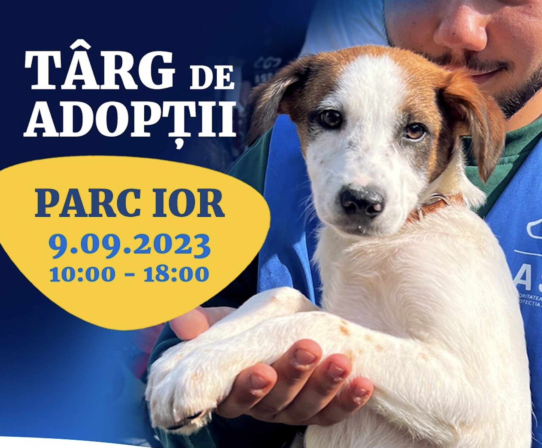 Un nou târg de adopții pentru căței va avea loc sâmbătă, în Parcul IOR