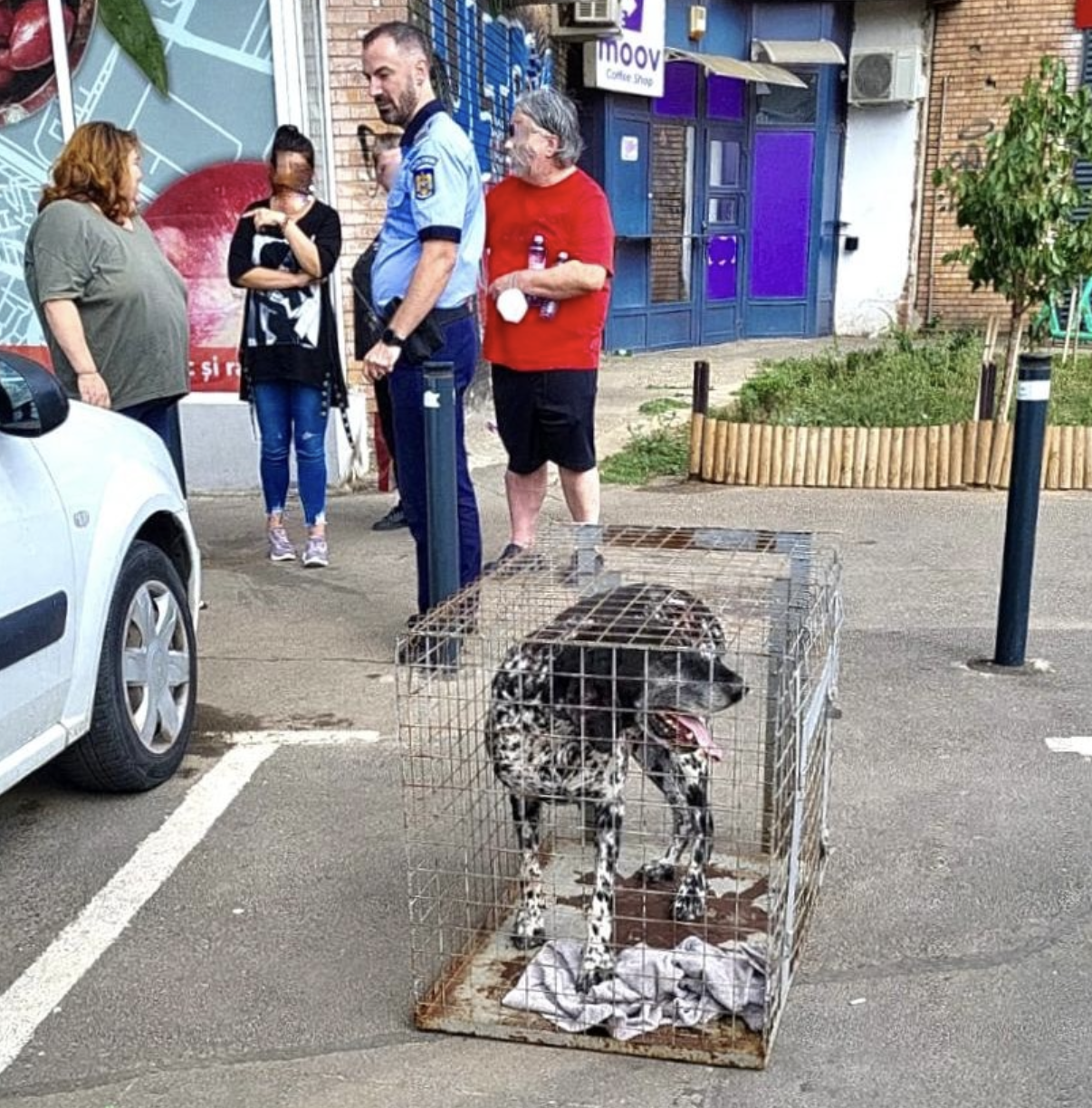 Două persoane au fost atacate de un câine care circula liber pe o stradă din Sectorul 6