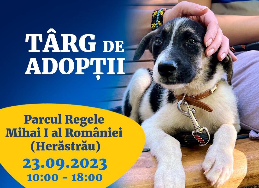 Un nou târg de adopții pentru căței în Parcul Herăstrău