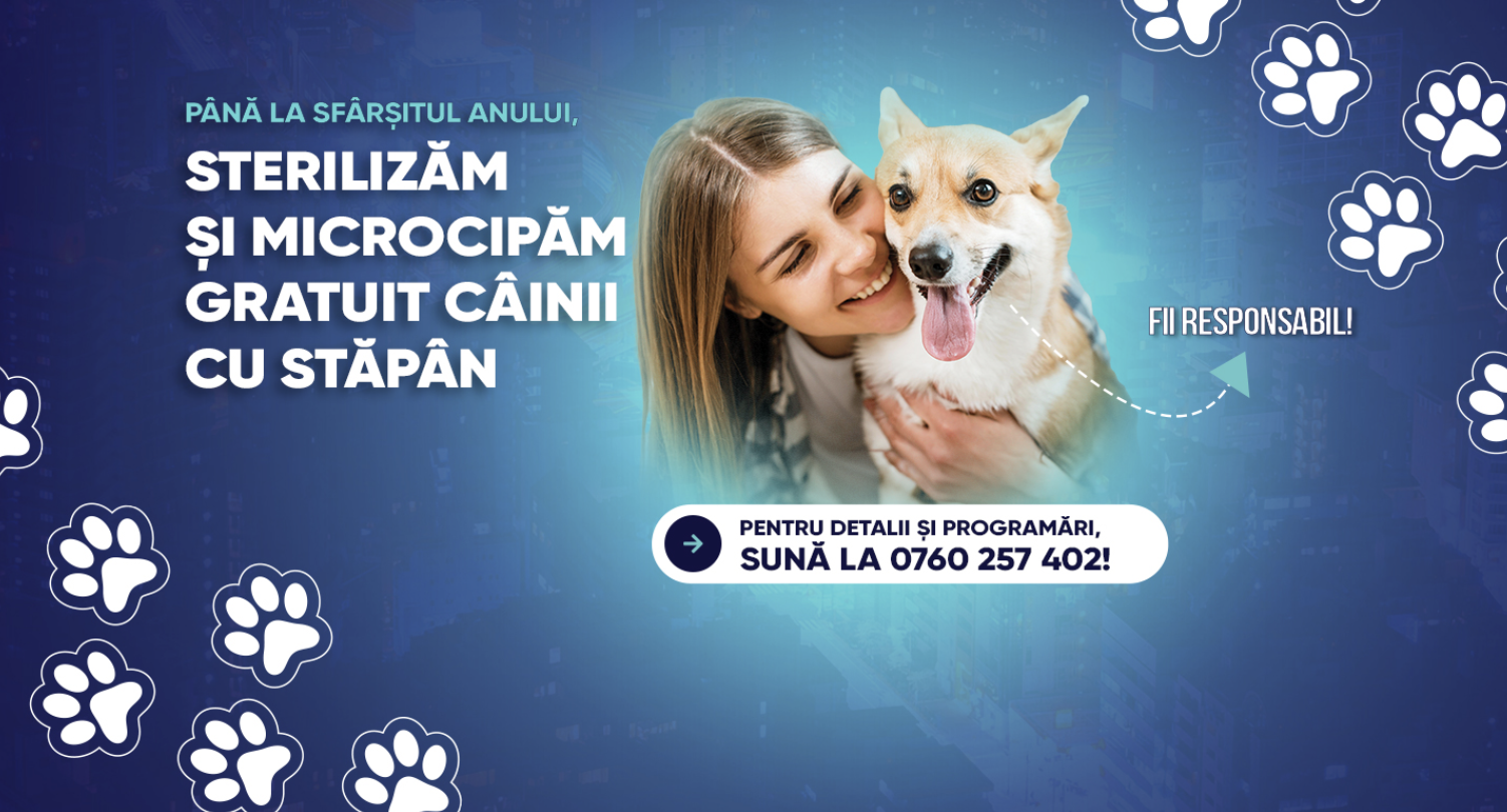 Începe campania de sterilizare şi microcipare a câinilor cu stăpân din Sectorul 6