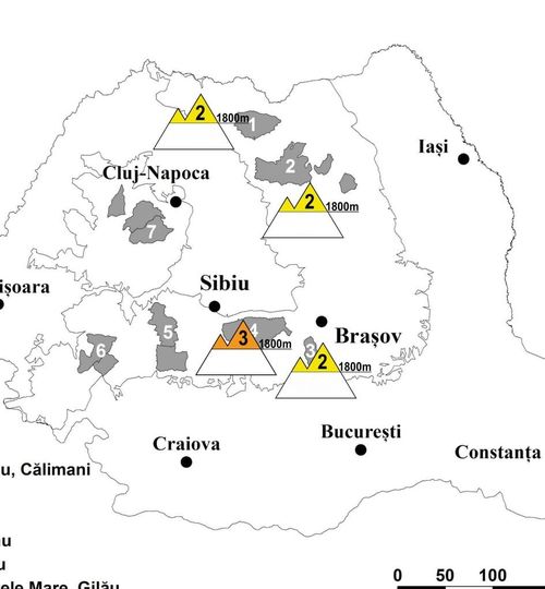 Masivul Făgăraş: Risc de avalanşă, la nivelul 3 din 5