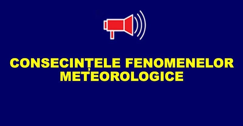 Maşini avariate şi copaci doboraţi de vânt, azi – noapte, in Capitală