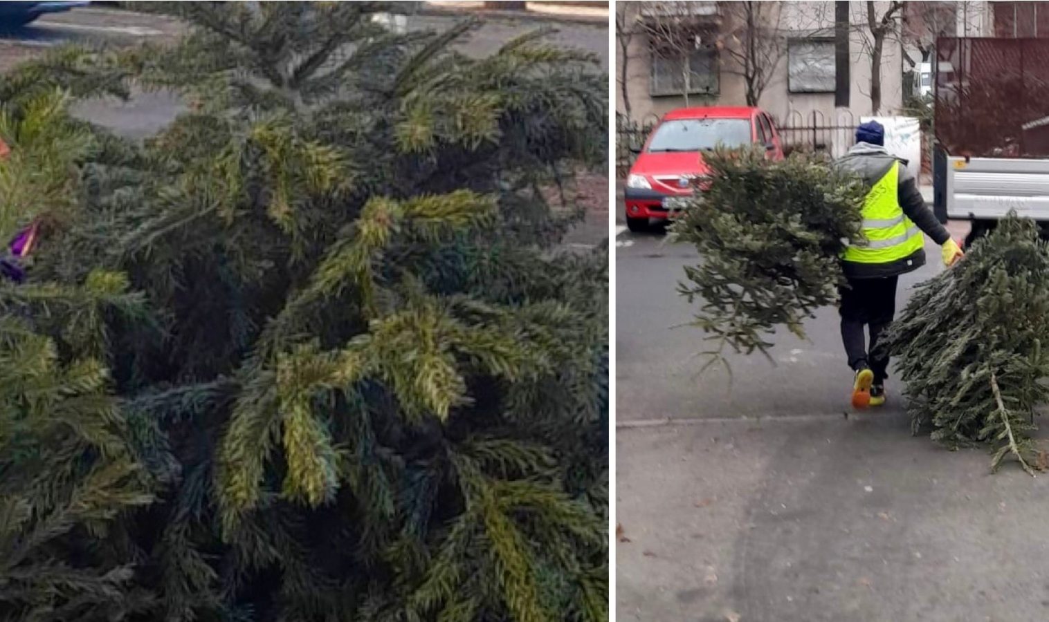 Unde se depozitează brazii de Crăciun, în Sectorul 3