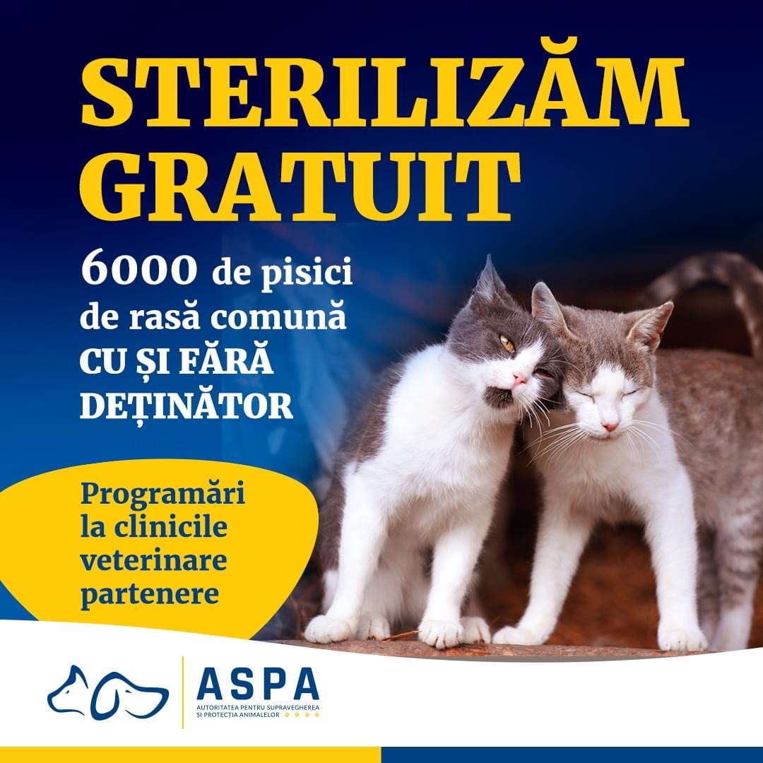 ASPA: Sterilizari gratuite!
