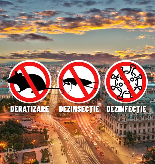 Deratizare și dezinsecție. Tratamentele incep din ianuarie