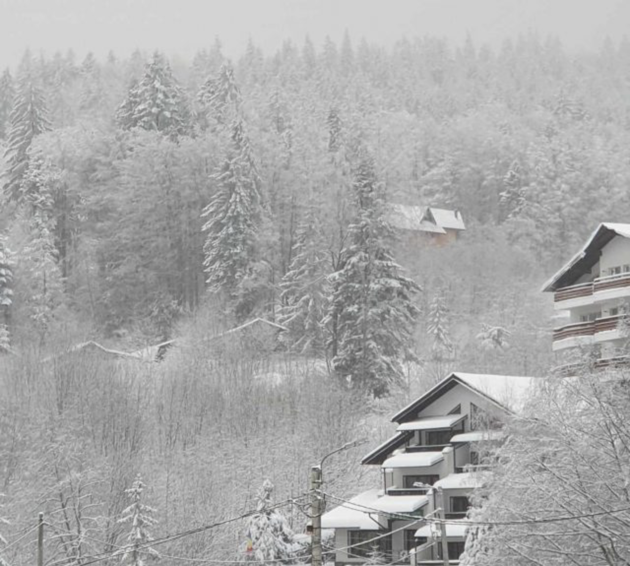 Tabere de iarnă pentru studenți organizate de Ministerul Familiei