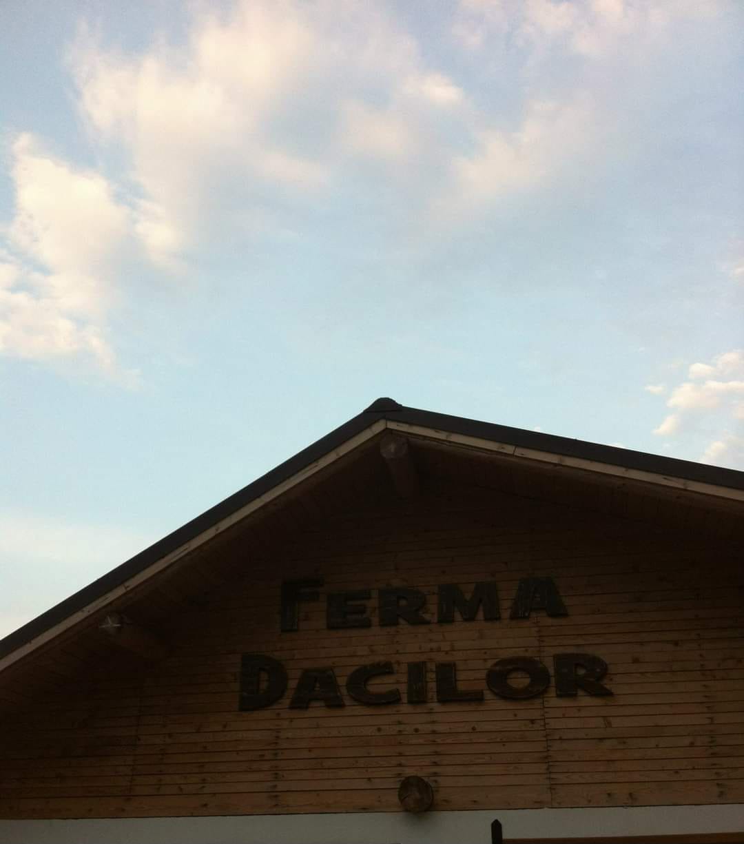 Patronul de la Ferma Dacilor a fost reţinut