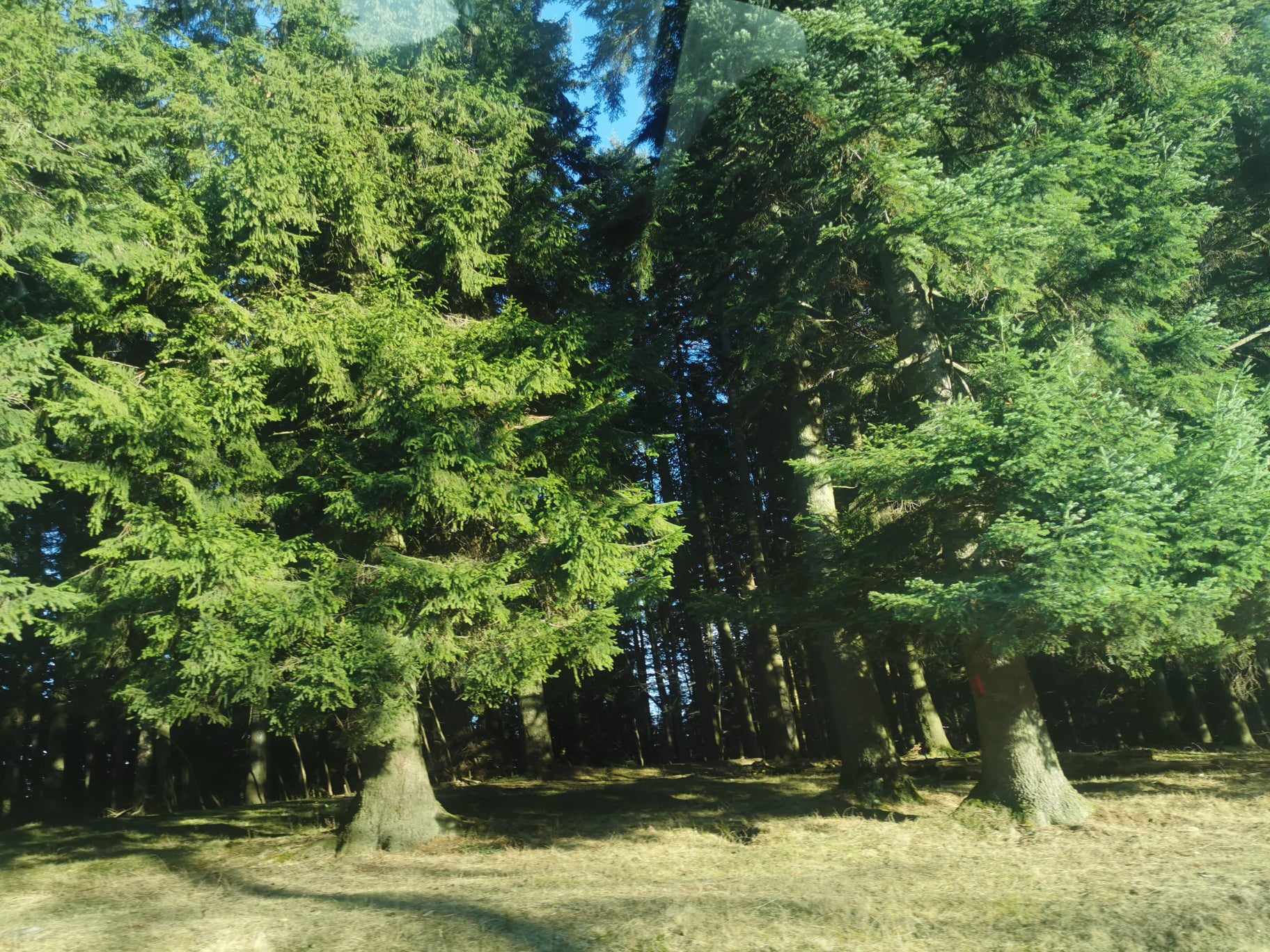 33 de turiști, salvați de pe munte!