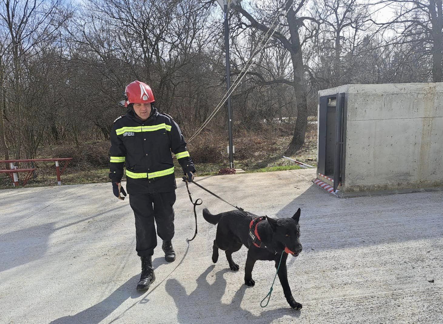 DSU: Exercițiu de căutare-salvare în mediu urban, având ca scenariu un cutremur de mare intensitate