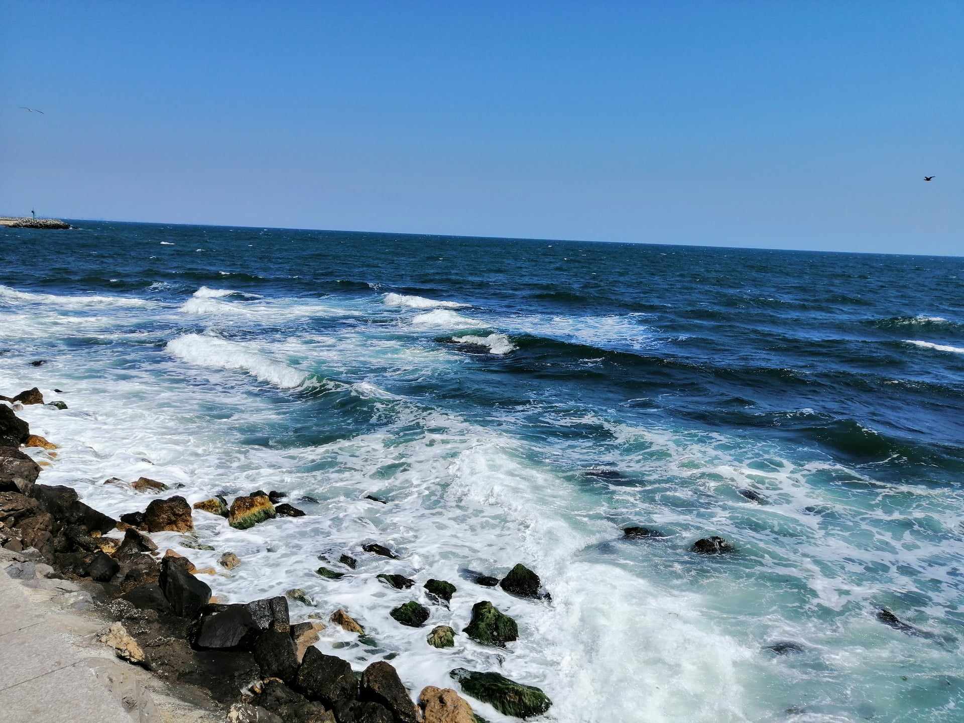 Un tânăr de 20 de ani, din Buzău, a murit înecat la Costineşti